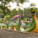 sea dragon source image
