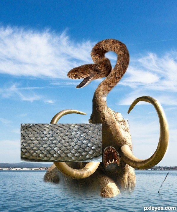 Creation of King of the Sea: Step 2