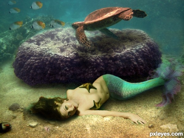 On The Ocean Floor photoshop picture)