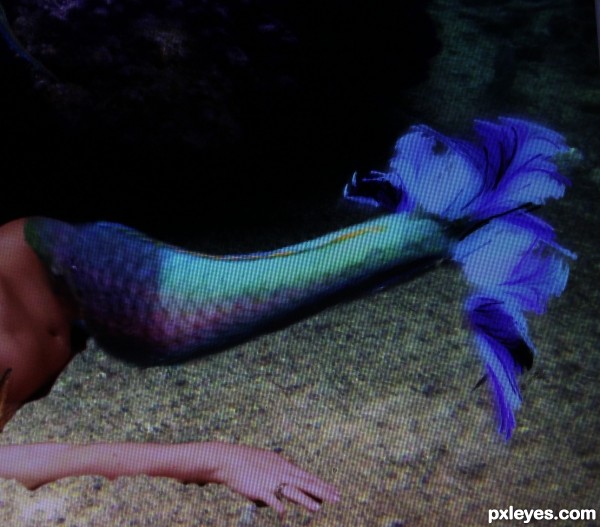 Creation of On The Ocean Floor: Step 11