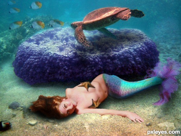 Creation of On The Ocean Floor: Step 19