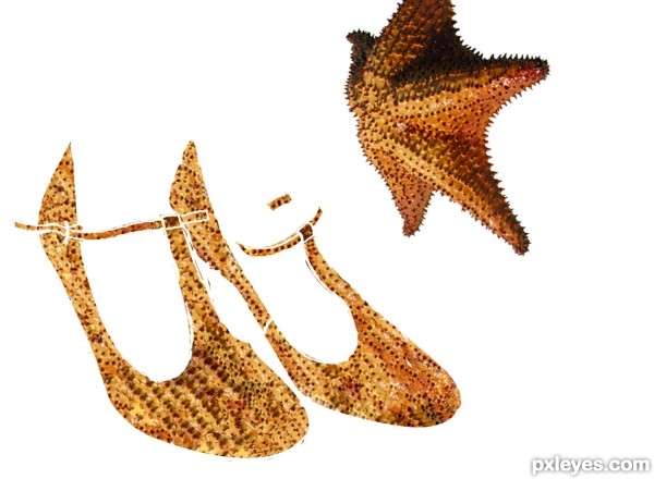 Creation of Beautiful Shoes: Step 1