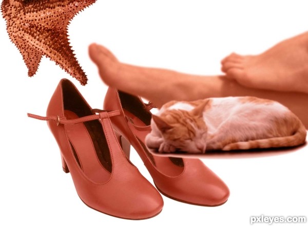 Creation of Beautiful Shoes: Step 2