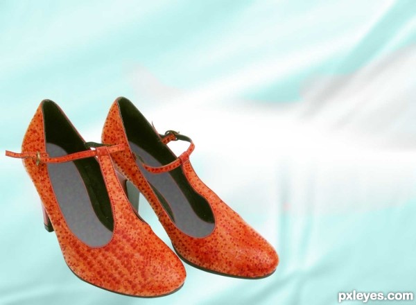 Creation of Beautiful Shoes: Step 3