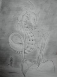 seahorse Picture