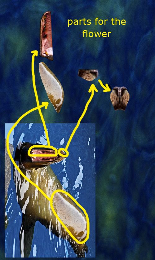 Creation of Carnivorous: Step 3