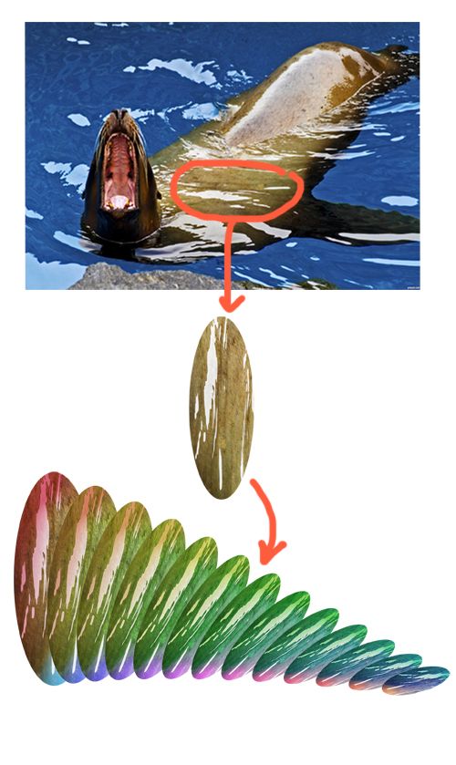 Creation of Carnivorous: Step 6
