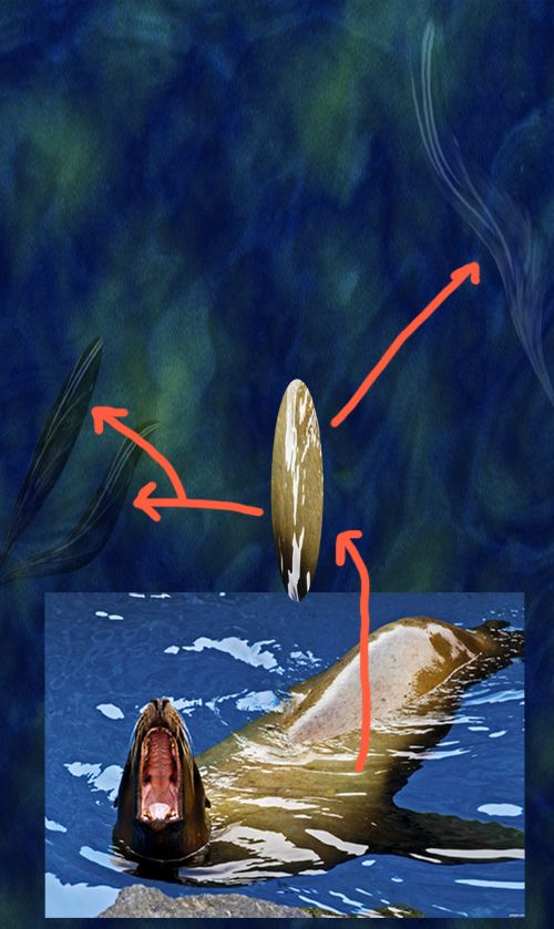 Creation of Carnivorous: Step 8