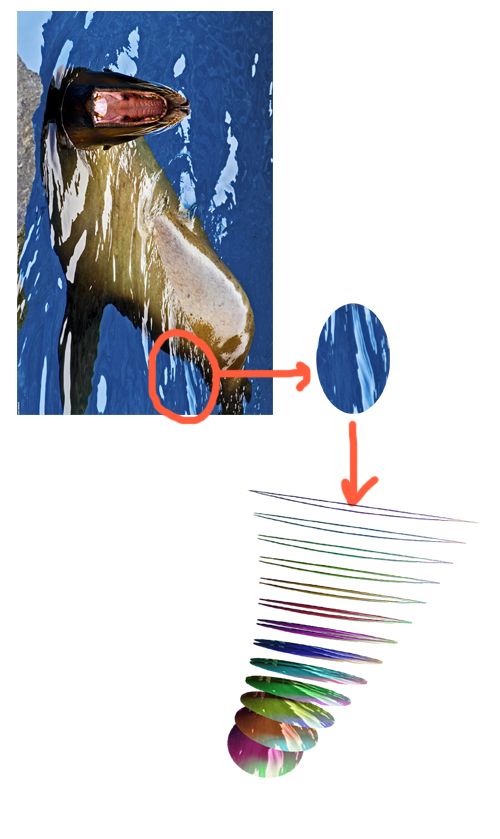 Creation of Carnivorous: Step 11