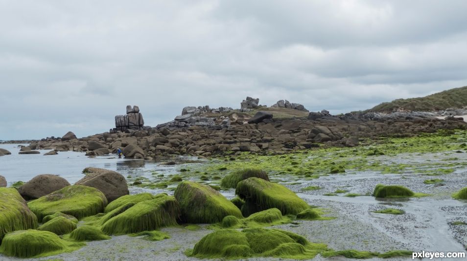 Low tide