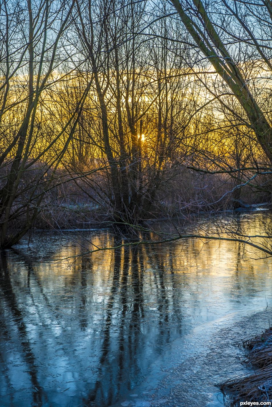 frosty morning