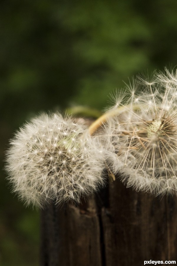 Waiting for the wind....