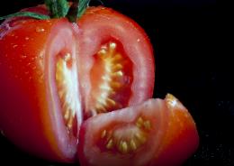 TomatoSeeds