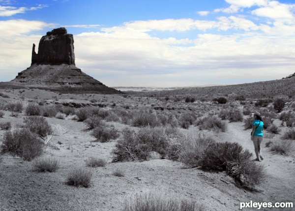 Desert Hike