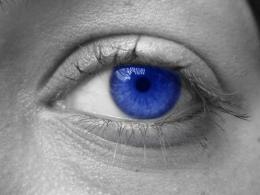 Theblueeye