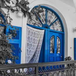 Bluedoors