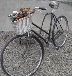 OldBike