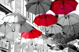in case of rain...