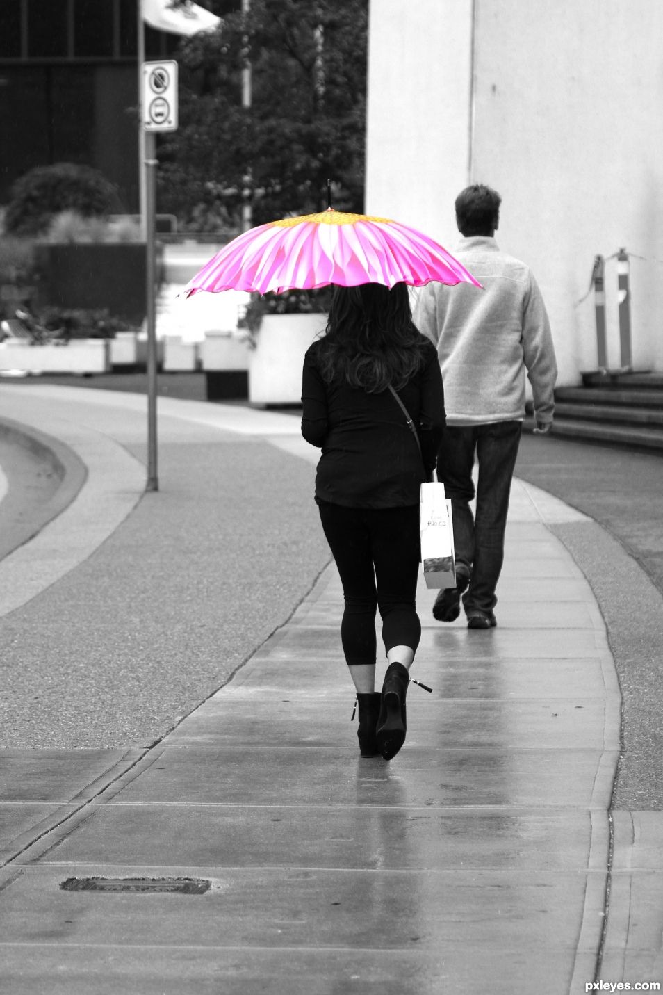 Pink Umbrella