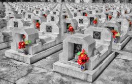 Remembering their fallen