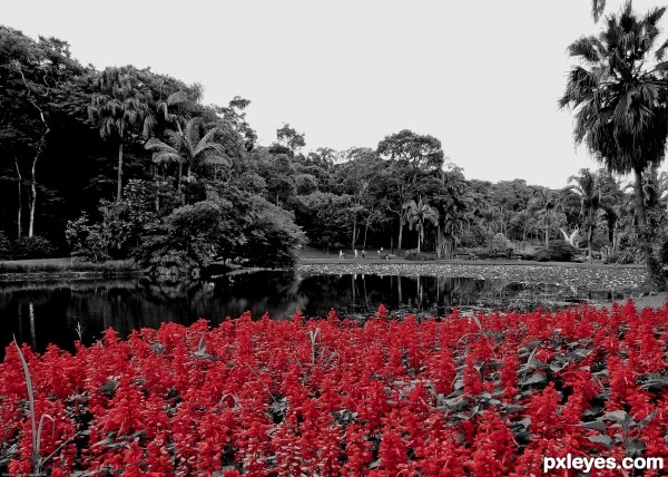 Red Garden