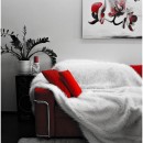 selective red 2 photography contest