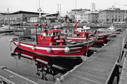 Red Boats