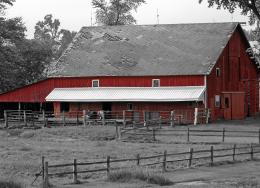 Red Barn