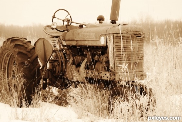 Out To Pasture