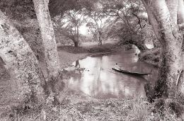 bend in the river