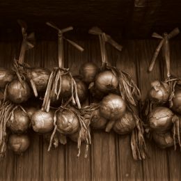 OnionsinSepia