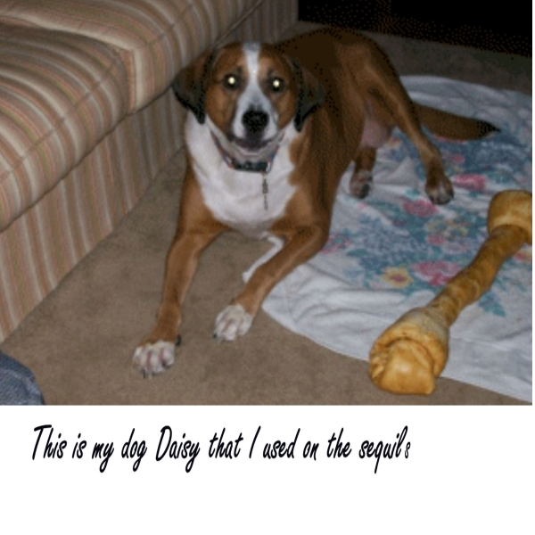Creation of Dog Sequins: Step 6