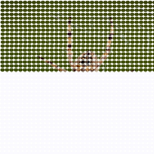 Creation of Itsy Bitsy Spider: Step 5