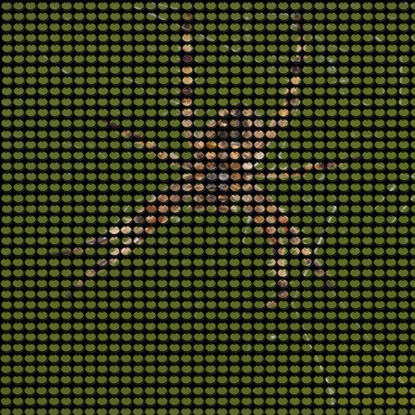 Creation of Itsy Bitsy Spider: Step 6