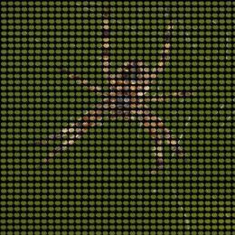 ItsyBitsySpider