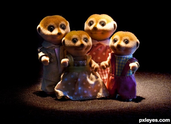 Meercats United