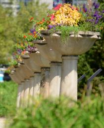 Set of vases