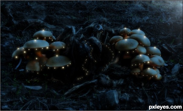 Creation of Magic: Step 4