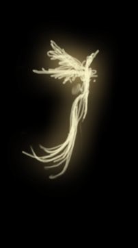 Creation of Magic: Step 6
