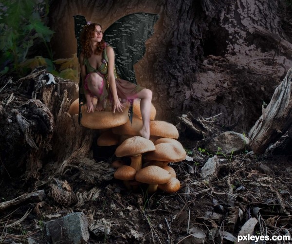 Creation of below the forest giants: Step 3