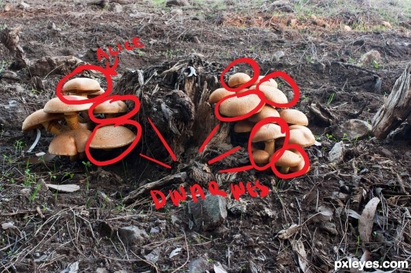 Creation of Alice and the 7 dwarfs: Step 1