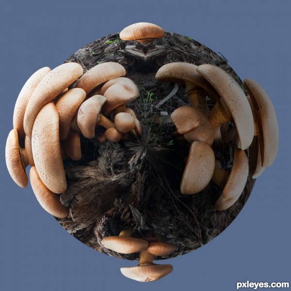 Creation of Mushroom planet moon: Step 4
