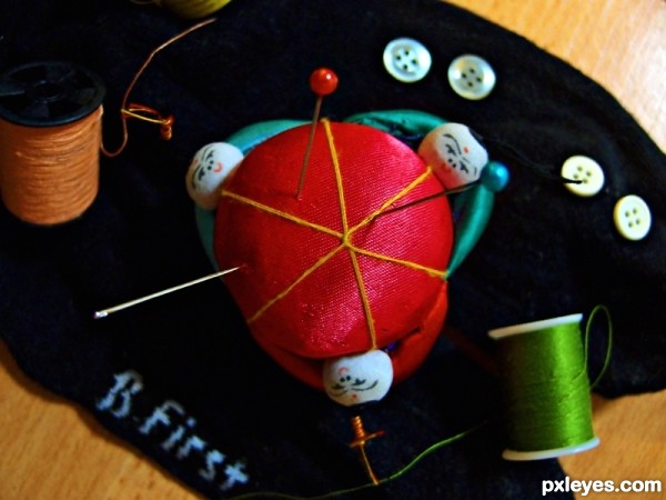 Pin Cushion