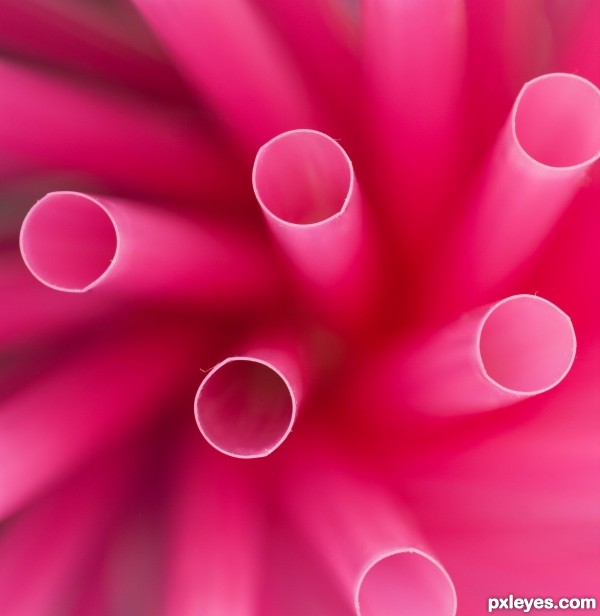 Pink straws