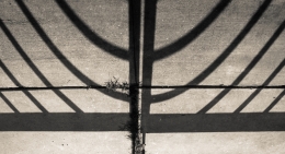 Menorah Shadow