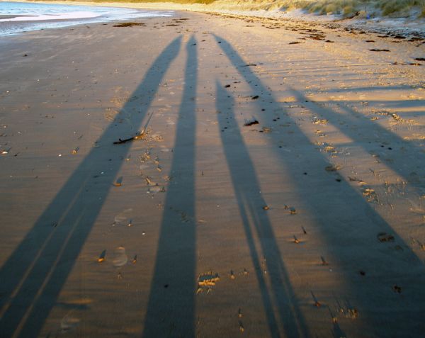 At the beach