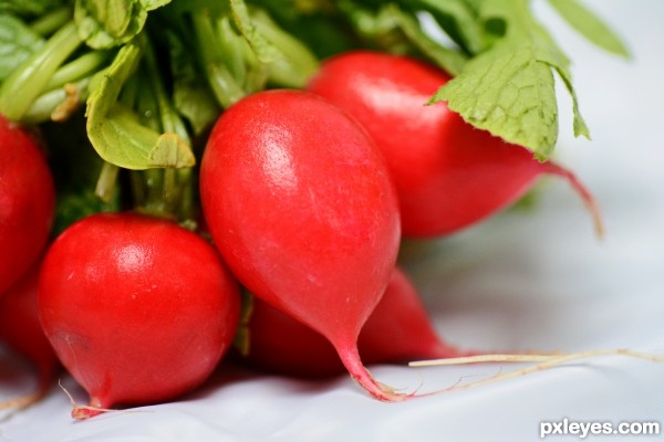 Radish-ing