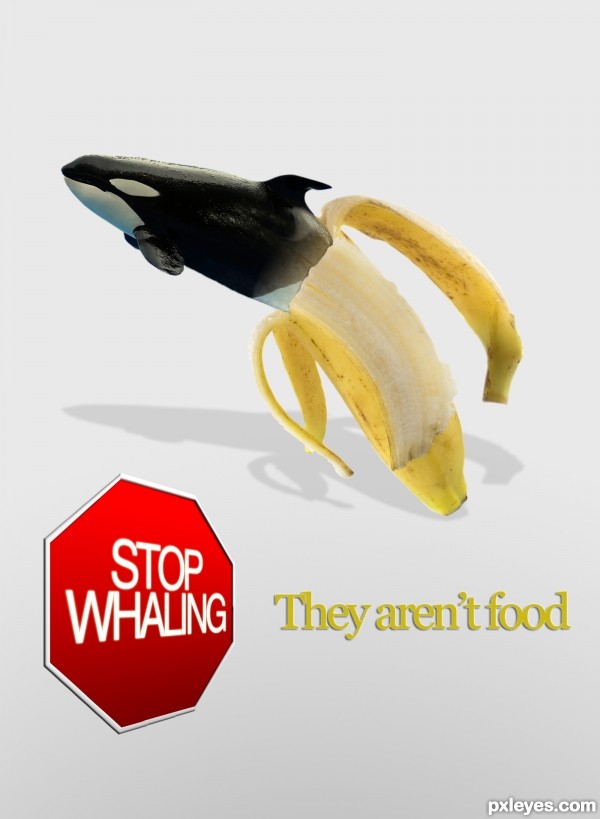 Creation of No Whaling!!!: Final Result