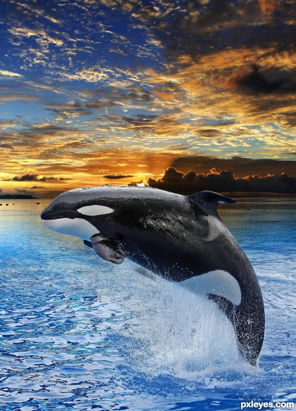 Creation of Sun Set Splash: Step 4