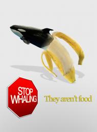 NoWhaling
